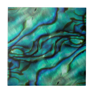 USA, Colorado, Lafayette. Abalone-Schalen-Montage Fliese