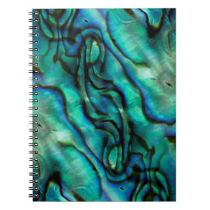USA, Colorado, Lafayette. Abalone-Schalen-Montage Notizblock