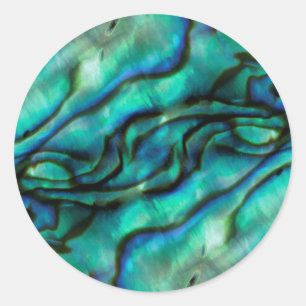 USA, Colorado, Lafayette. Abalone-Schalen-Montage Runder Aufkleber