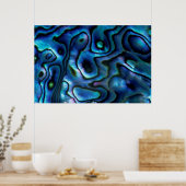 USA, Colorado, Lafayette. Abalone shell Poster (Küche)