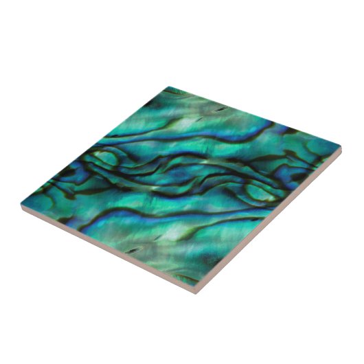 USA, Colorado, Lafayette. Muschel Abalone Fliese (Seite)