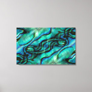 USA, Colorado, Lafayette. Muschel Abalone Leinwanddruck