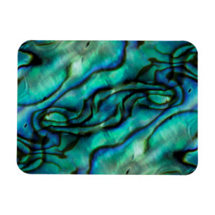 USA, Colorado, Lafayette. Muschel Abalone Magnet