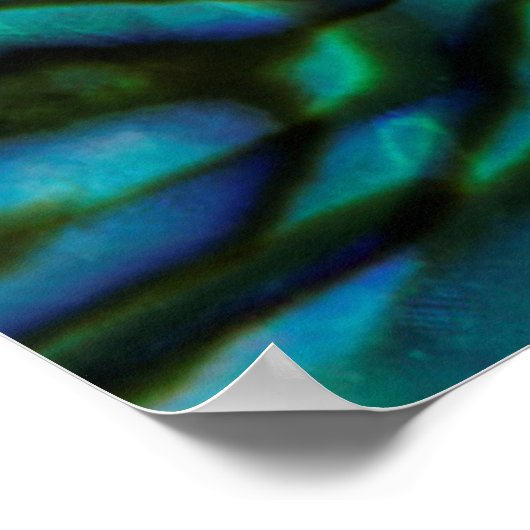 USA, Colorado, Lafayette. Muschel Abalone Poster (Ecke)