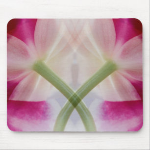 USA, Colorado, Lafayette. Orchideen-Montage Mousepad