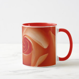 USA, Colorado, Lafayette. Pfirsich-Rose Nahaufnahm Tasse