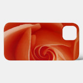 USA, Colorado, Lafayette. Rose nah Case-Mate iPhone Hülle (Rückseite (Horizontal))