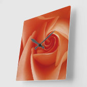 USA, Colorado, Lafayette. Rose nah Quadratische Wanduhr (Winkel)