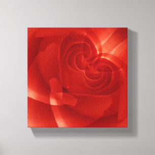 USA, Colorado, Lafayette. Roter Rosenmontage Leinwanddruck