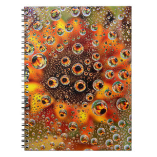 USA, Colorado, Lafayette. Wasserblasen auf Glas 1 Notizblock