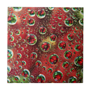 USA, Colorado, Lafayette. Wasserblasen auf Glas 3 Fliese