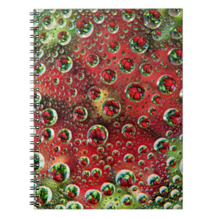 USA, Colorado, Lafayette. Wasserblasen auf Glas 3 Notizblock