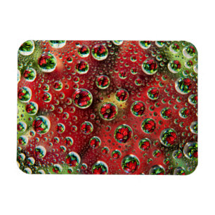 USA, Colorado, Lafayette. Water bubbles on glass 3 Magnet