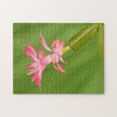 USA, Colorado, Lafayette. Weihnachtskaktus Puzzle (Horizontal)