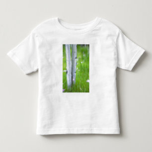 USA, Colorado, Lake City, Espen und Kleinkind T-shirt