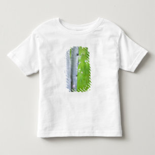USA, Colorado, Lake City, Espen und Kleinkind T-shirt