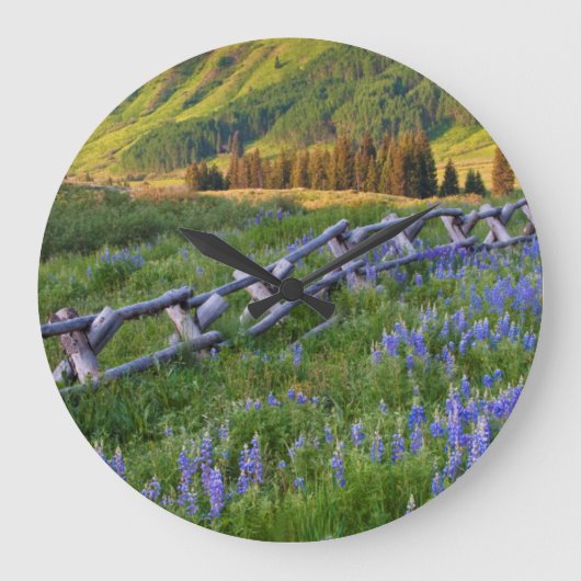 USA, Colorado. Lupines and split rail fence Große Wanduhr (Vorderseite)