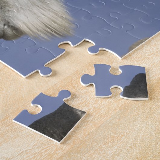 USA, Colorado, Mount Evans. Bergziegmutter Puzzle (Seite)