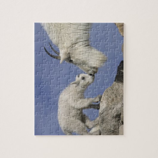 USA, Colorado, Mount Evans. Bergziegmutter Puzzle (Vertikal)