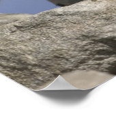 USA, Colorado, Mount Evans. Mountain goat mother Poster (Ecke)