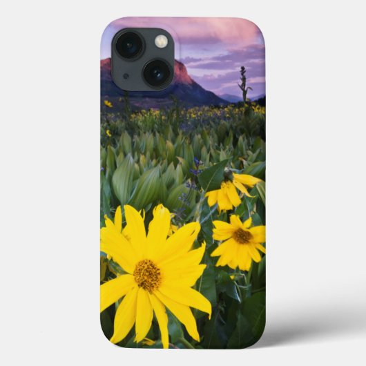 USA, Colorado, Mt. Crested Butte Case-Mate iPhone Hülle (Rückseite)