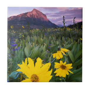 USA, Colorado, Mt. Crested Butte Fliese