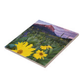 USA, Colorado, Mt. Crested Butte Fliese (Seite)