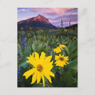 USA, Colorado, Mt. Crested Butte Postkarte