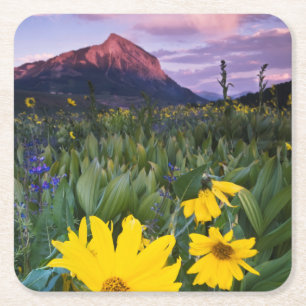 USA, Colorado, Mt. Crested Butte Rechteckiger Pappuntersetzer