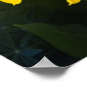 USA, Colorado, Mt. Poster (Ecke)