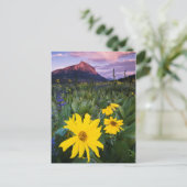 USA, Colorado, Mt. Postkarte (Stehend Vorderseite)