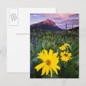 USA, Colorado, Mt. Postkarte (Vorne/Hinten)