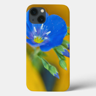 USA, Colorado. Nahaufnahme von Storchschnabel Case-Mate iPhone Hülle