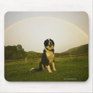 USA, Colorado, neues Schloss Mousepad