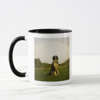 USA, Colorado, neues Schloss Tasse