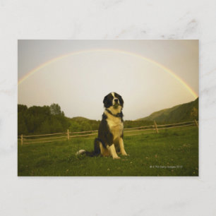 USA, Colorado, New Castle Postkarte