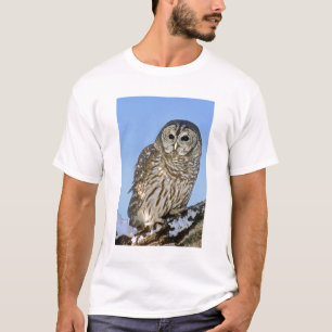 USA, Colorado. Porträt einer gesäumten Eule T-Shirt