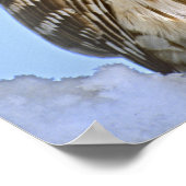 USA, Colorado Porträt von verbargerter Eule Poster (Ecke)