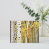 USA, Colorado, Rocky Mountains. Intimaspel Postkarte (Stehend Vorderseite)