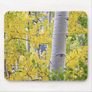 USA, Colorado, Rocky Mountains. Intime Espen 2 Mousepad
