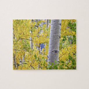 USA, Colorado, Rocky Mountains. Intime Espen 2 Puzzle