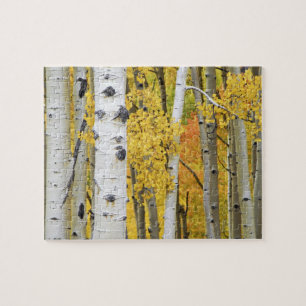 USA, Colorado, Rocky Mountains. Intime Espen Puzzle
