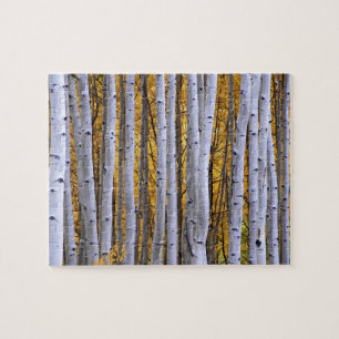 USA, Colorado, Rocky Mountains. Intime Szene Puzzle