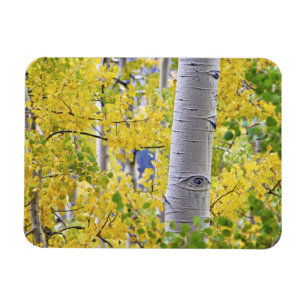 USA, Colorado, Rocky Mountains. Intimes Aspen 2 Magnet