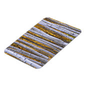 USA, Colorado, Rocky Mountains. Intimität Magnet (Linke Seite)