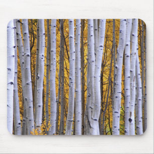 USA, Colorado, Rocky Mountains. Intimität Mousepad