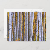 USA, Colorado, Rocky Mountains. Intimität Postkarte (Vorne/Hinten)