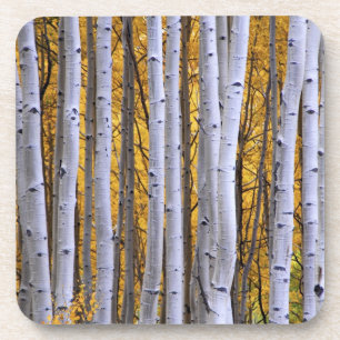 USA, Colorado, Rocky Mountains. Intimität Untersetzer