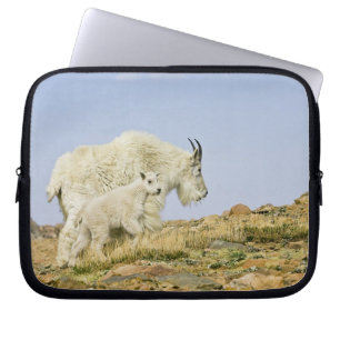 USA, Colorado, Rocky Mountains, Mount Evans, Laptopschutzhülle