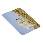 USA, Colorado, Rocky Mountains, Mount Evans, Magnet (Rechte Seite)
